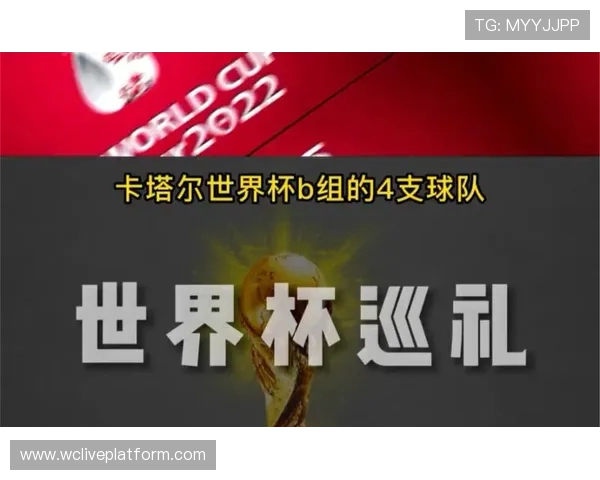 世界杯比利时对伊朗比赛门票购买常见问题及解决方案详尽分析 世界杯比利时对伊朗比赛门票购买常见问题及解决方案详尽分析