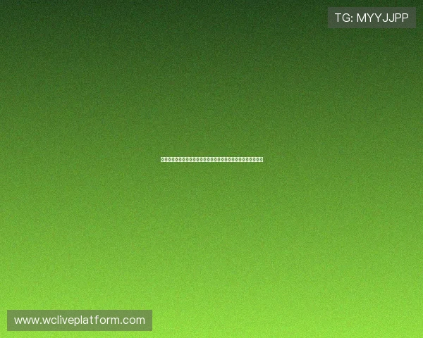 比利时队与新西兰队世界杯比赛签证流程详细说明及相关注意事项